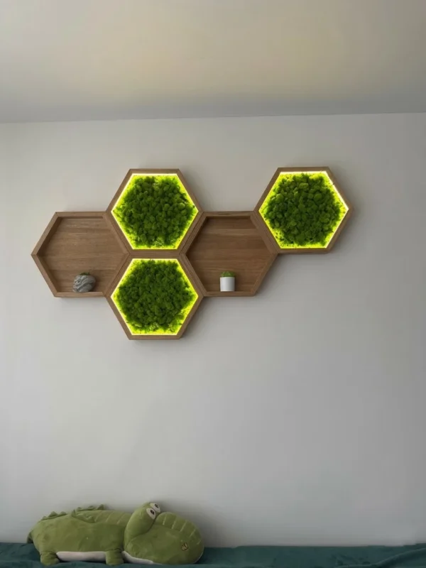 Wooden hexagon wall shelves with backlit green moss panels and small decor items mounted on a white wall.