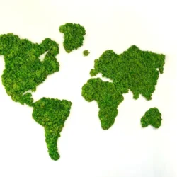 Reindeer moss world map wall art featuring continental silhouettes on a plain white background