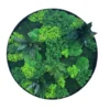 Circular black frame filled with varied textures and shades of preserved green moss and small foliage accents.