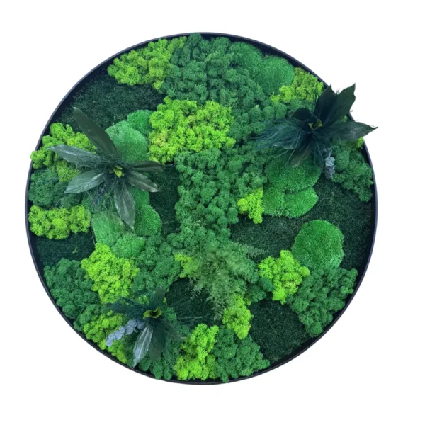 Circular black frame filled with varied textures and shades of preserved green moss and small foliage accents.