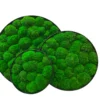 Three overlapping round wall panels filled with textured green ball moss in slim black frames