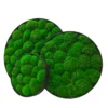 Angled view of three round green ball moss wall panels displaying slim black frame rims