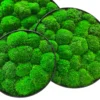 Three overlapping round wall art pieces with textured green ball moss in black frames