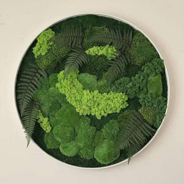 Round preserved moss wall art with light and dark green moss and fern fronds in a white frame.