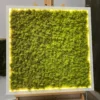Square white-framed green moss wall art with warm LED edge lighting, displayed on a wooden easel.