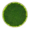 Circular wall art filled with vibrant green preserved reindeer moss in a thin frame.