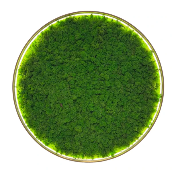 Circular wall art filled with vibrant green preserved reindeer moss in a thin frame.
