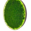 Round backlit wall art filled with dense green preserved moss inside a circular frame against a white background.