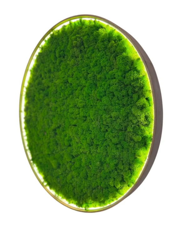 Round backlit wall art filled with dense green preserved moss inside a circular frame against a white background.