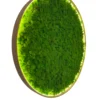 Circular backlit wall art filled with textured green moss inside a round frame.