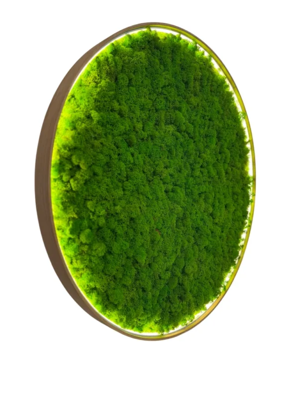 Circular backlit wall art filled with textured green moss inside a round frame.