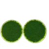 Two round glass dishes filled with vibrant green powder on a white background.