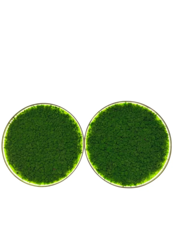 Two round glass dishes filled with vibrant green powder on a white background.