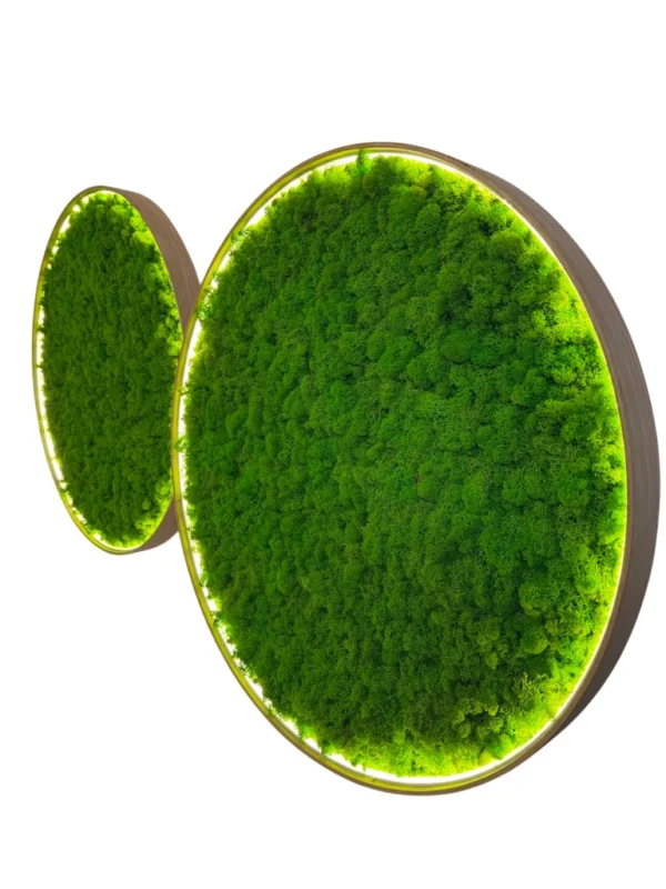 Two round wall-mounted green moss art panels with illuminated rims against a white backdrop.