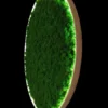 Circular green moss wall art with built-in rim lighting in a wooden frame against a black backdrop.
