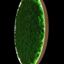 Circular green moss wall art with built-in rim lighting in a wooden frame against a black backdrop.