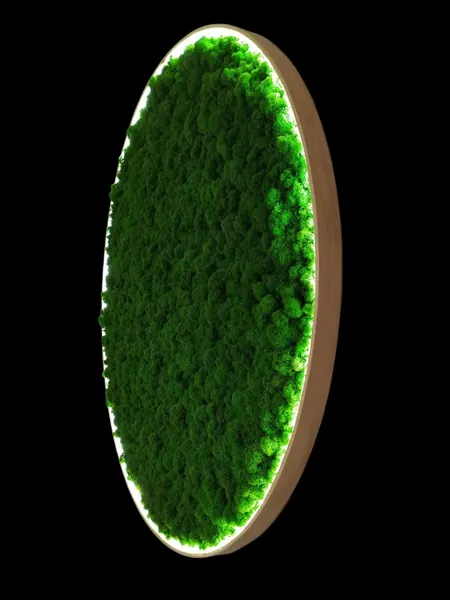 Circular green moss wall art with built-in rim lighting in a wooden frame against a black backdrop.