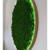 Round preserved green moss wall art with a wooden frame and integrated white backlighting, mounted on a white wall.