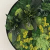 Circular wall art arrangement of preserved green moss, yellow lichen, and dark foliage in a black frame.