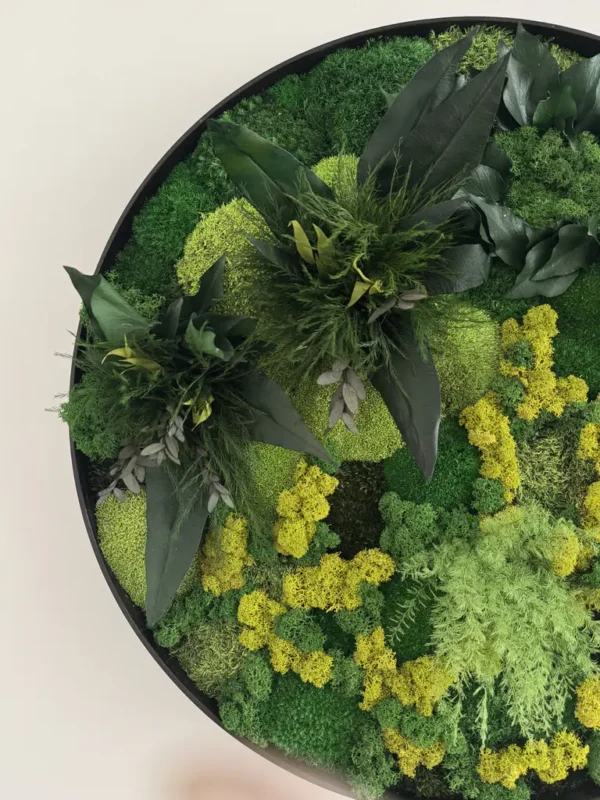 Circular wall art arrangement of preserved green moss, yellow lichen, and dark foliage in a black frame.