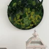 Round preserved moss wall art in a black frame on a white wall above a decorative white lantern.