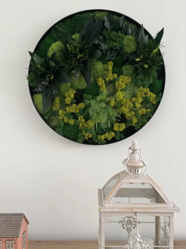 Round preserved moss wall art in a black frame on a white wall above a decorative white lantern.