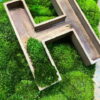 Overhead view of a wooden 3D letter H frame partially filled with green moss on a lush moss surface.