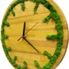 Round wooden wall clock with preserved green moss inlaid along the perimeter and hour marks.