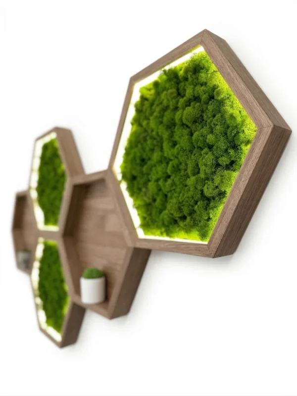 Hexagonal wooden wall shelves with backlit preserved green moss and a small potted plant on a white wall.