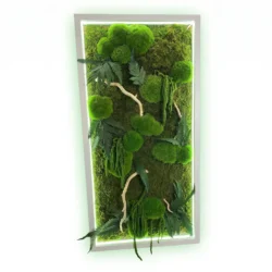 Framed vertical moss wall art featuring green preserved moss, ferns, and twigs with an illuminated white LED border.