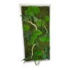 Vertical moss wall art with preserved green moss, fern leaves, and curved pale branches in a white frame.