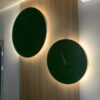 Backlit round green moss wall art and illuminated moss clock mounted on a vertical wood wall panel.