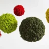 Hanging preserved reindeer moss balls in shades of red, green, and yellow against a white backdrop.