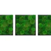 Three square green ball moss wall art panels in black wooden frames displayed on a white background
