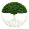 Round Tree of Life wall art featuring white wooden frame and roots topped with lush green ball moss.