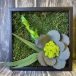 Moss Art: Flower on a Moss Field