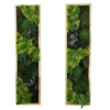 Botanical moss wall art panels featuring textured preserved plants in rectangular frames.