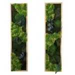Plant Moss Picture Set Remix | Moss Wall Art Set