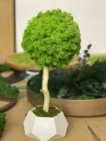 Decorative Tree with Moss and Natural Wood - Image 5