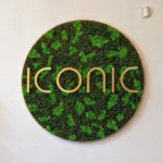 Moss picture with logo - Image 9