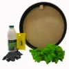 DIY round moss wall art kit including frame, preserved moss, adhesive, spreader tool, and protective gloves