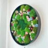Round black framed moss wall art with green preserved moss and colorful dried flowers hanging on a white wall.