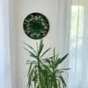 Round moss and flower wall art with black frame mounted on a white wall above a green houseplant