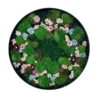 Round preserved moss and dried flower wall art in circular frame