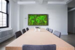 Moss World Map with Flat Moss and Cushion Moss - Image 3
