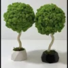 Pair of green moss topiary trees with natural wood trunks in black and white geometric pots