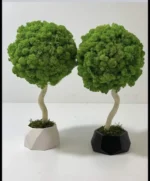 Decorative Tree with Moss and Natural Wood - Image 4