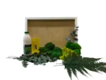DIY Jungle Moss Picture Set