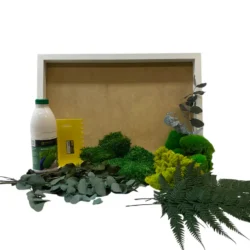 DIY Jungle Moss Picture Set