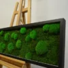 Rectangular black framed moss art with green ball and flat moss on a wooden artist easel.